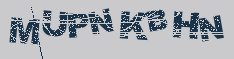 Image: you will need to recognize the text in it.